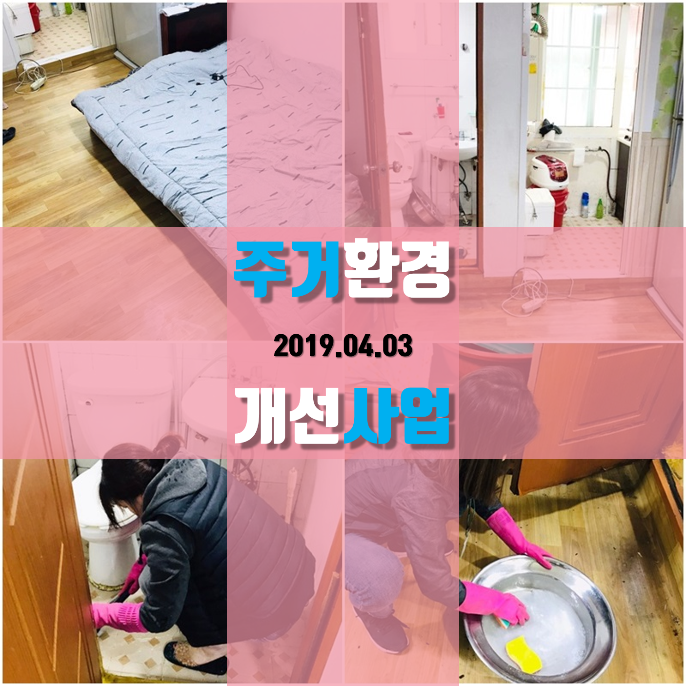 메인카드[38].png