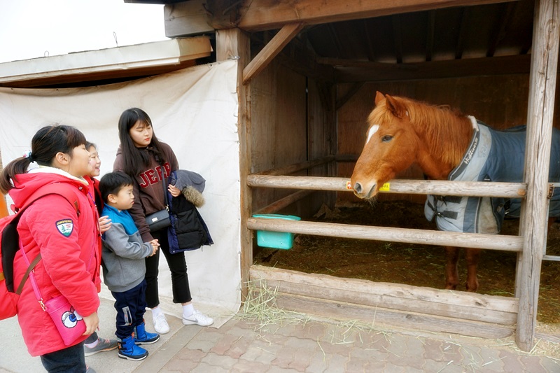 3.22일_팜랜드_(13).JPG