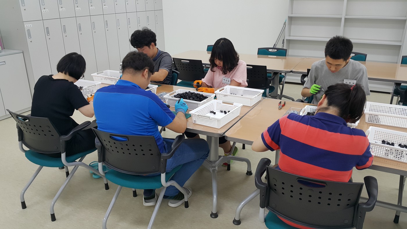 20160901_130729.jpg